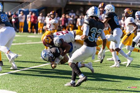 RSEQ - 2023 Football - Université de Montréal (14) vs (16) Concordia University