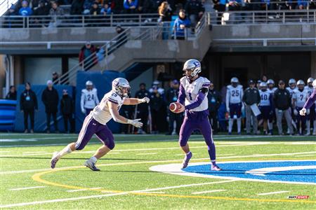 U SPORTS Uteck Bowl - Carabins (29) vs (3) Mustangs - Reel Game