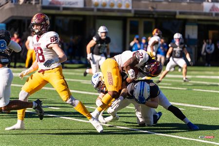 RSEQ - 2023 Football - Université de Montréal (14) vs (16) Concordia University