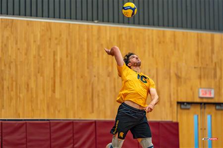 Volleyball - Carabins vs Warriors - Hors Championnat 