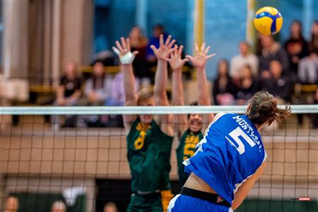 RSEQ - 2023 Volley M - Université de Montréal (1) vs (3) Université de Sherbrooke