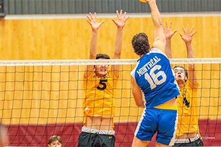 Volleyball - Carabins vs Warriors - Hors Championnat 