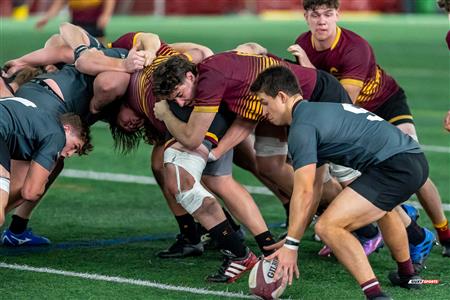 Tournoi Concordia 2023 Tournament  - Gee-Gees vs Stingers - Game 6