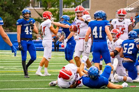 RSEQ Football Universitaire - Carabins-UdM (43) vs (11) Redbirds-McGill - 2eme mi-temps