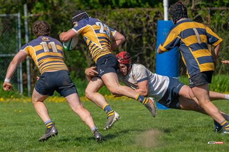 RUGBY QC 2023 (M) - TMR RFC (31) VS (10) SABRFC - Game 2nd half