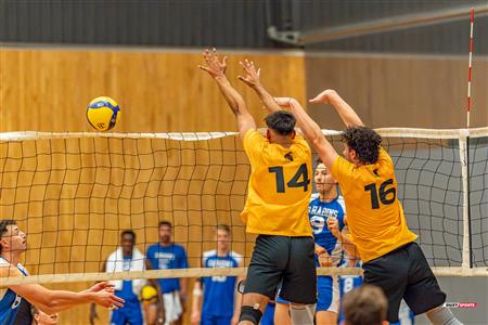 Volleyball - Carabins vs Warriors - Hors Championnat 