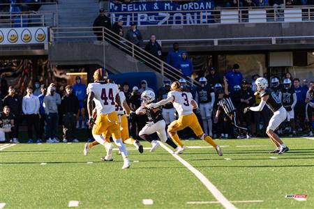 RSEQ - 2023 Football - Université de Montréal (14) vs (16) Concordia University