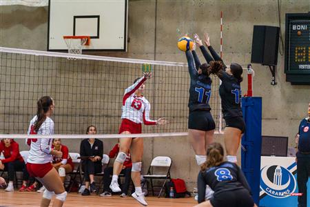 RSEQ - 2023 Volley F - Université de Montréal (3) vs (1) McGill University