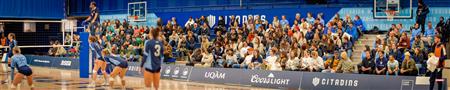 RSEQ - 2023 VOLLEY F - UQAM (3) VS (1) UNIVERSITÉ DE SHERBROOKE - 2 SET