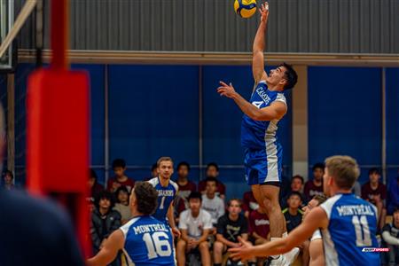 Volleyball - Carabins vs Warriors - Hors Championnat 