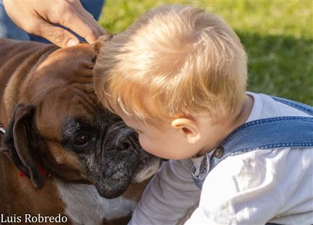 Areco RC Vs Lanus RC
