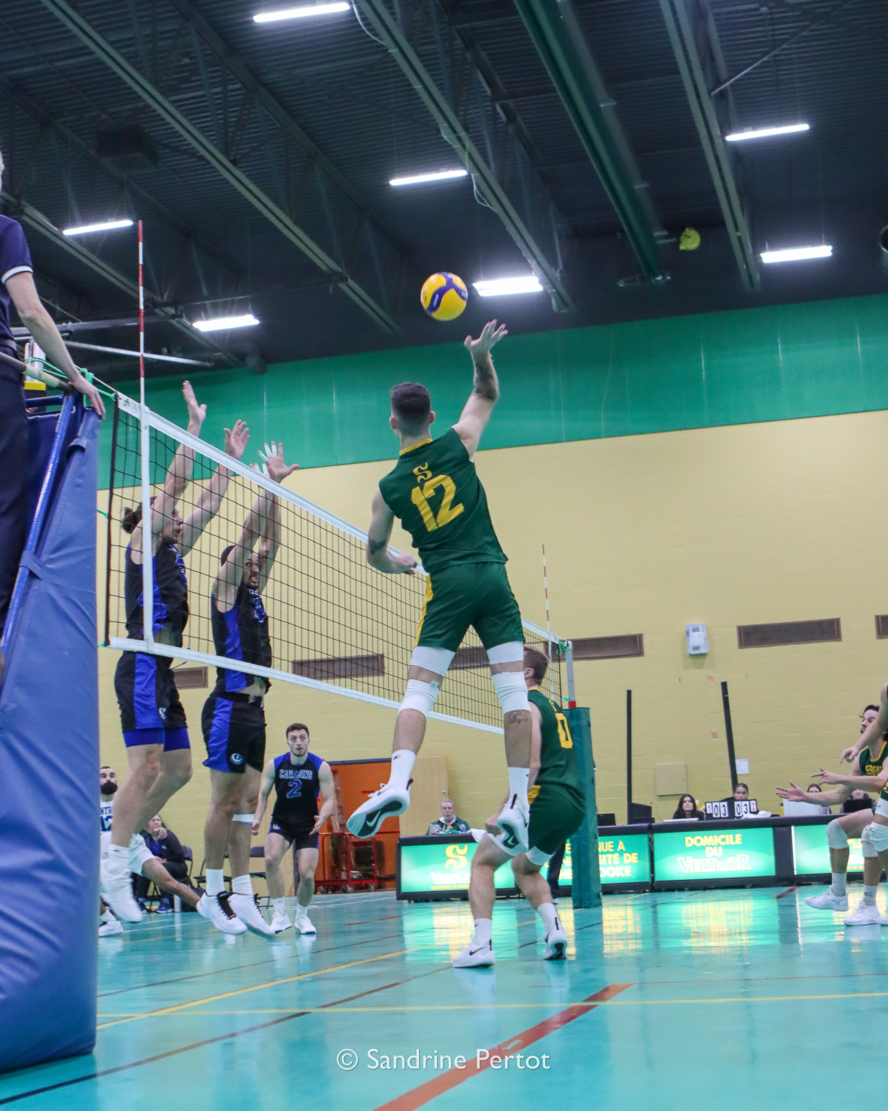  Université de Sherbrooke - Université de Montréal - Volleyball - RSEQ - 2022 Volley M - Université Sherbrooke (2) vs (3) Université de Montréal (#RSEQ2022USHvUDM06) Photo by: Sandrine Pertot | Siuxy Sports 2022-10-16