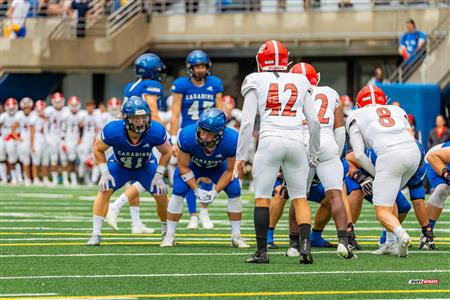 RSEQ Football Universitaire - Carabins-UdM (43) vs (11) Redbirds-McGill - 1ere mi-temps