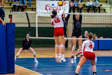 RSEQ - 2023 Volley F - Université de Montréal (1) vs (3) McGill University - R5