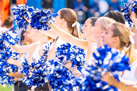 RSEQ Football Universitaire - Carabins-UdM (43) vs (11) Redbirds-McGill - Cheerleading - Crowd - Hal