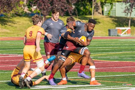 RSEQ 2023 RUGBY M - Concordia Stingers (40) VS (31) Ottawa Gee Gees - 2nd Half