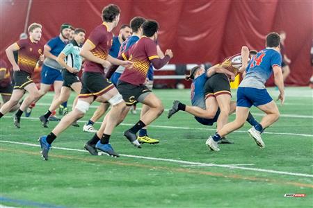 Tournoi Concordia 2023 Tournament  - Piranhas vs Stingers - Game 5