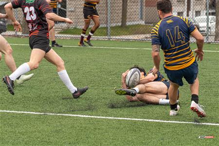 PARCO Tournoi A.Stefu 2023 - Club de Rugby de Québec vs Town Mount-Royal RFC