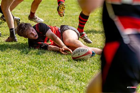 RUGBY QC 2023 (M2) - Beaconsfield RFC (12) VS (20) Club de Rugby de Québec