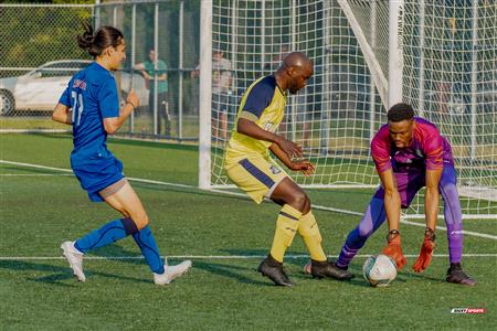 PLSQ - CS Longueil (0) vs (0) VS CS Mont-Royal Outremont