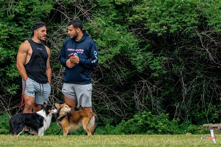 RUGBY QC 2023 (W1) - Town of Mount-Royal (48) VS (12) St-Lambert Locks