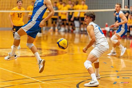 Volleyball - Carabins vs Warriors - Hors Championnat 