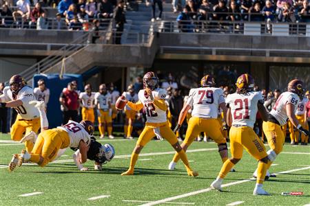RSEQ - 2023 Football - Université de Montréal (14) vs (16) Concordia University