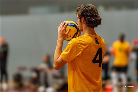 Volleyball - Carabins vs Warriors - Hors Championnat 