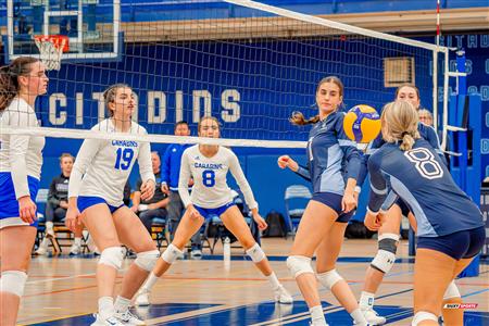 Laura Côté-Collin - Volleyball - RSEQ - 2023 Volley F - UQAM (2) vs (3) UDM - Université du Québec à Montréal - Université de Montréal