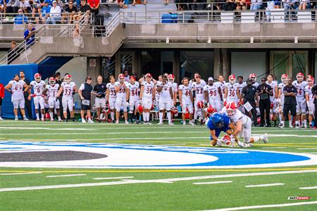 RSEQ Football Universitaire - Carabins-UdM (43) vs (11) Redbirds-McGill - 2eme mi-temps