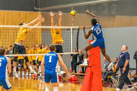 Volleyball - Carabins vs Warriors - Hors Championnat 