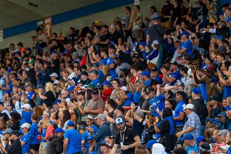 RSEQ Football Universitaire - Carabins-UdM (43) vs (11) Redbirds-McGill - Cheerleading - Crowd - Hal