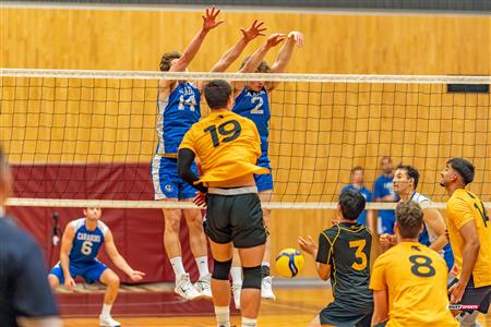 Volleyball - Carabins vs Warriors - Hors Championnat 