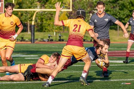 RSEQ 2023 RUGBY M - Concordia Stingers (40) VS (31) Ottawa Gee Gees - 2nd Half