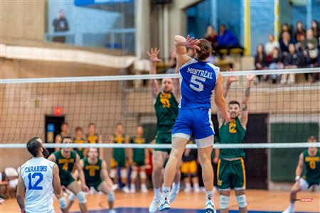 RSEQ - 2023 Volley M - Université de Montréal (1) vs (3) Université de Sherbrooke