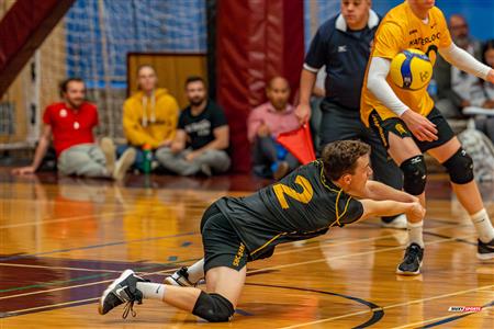 Volleyball - Carabins vs Warriors - Hors Championnat 