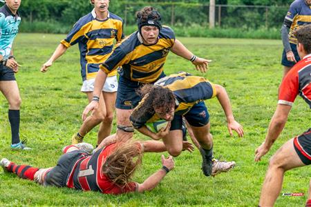 RUGBY QC 2023 (M1) - TMR RFC (14) vs (15) Beaconsfield RFC