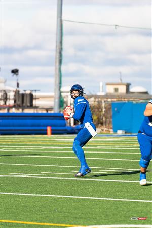 U SPORTS Uteck Bowl - Carabins (29) vs (3) Mustangs - Reel Game