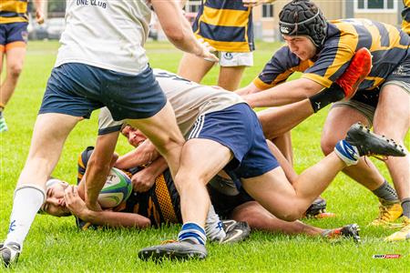 Rugby Québec (M1) - SABRFC (14) vs (24) Town of Mount Royal