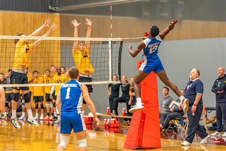 Volleyball - Carabins vs Warriors - Hors Championnat 