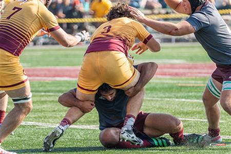 RSEQ 2023 RUGBY M - Concordia Stingers (40) VS (31) Ottawa Gee Gees - 1st Half