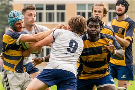 Rugby Québec (M1) - SABRFC (14) vs (24) Town of Mount Royal