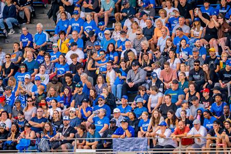 RSEQ Football Universitaire - Carabins-UdM (43) vs (11) Redbirds-McGill - Cheerleading - Crowd - Hal