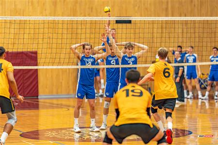 Volleyball - Carabins vs Warriors - Hors Championnat 