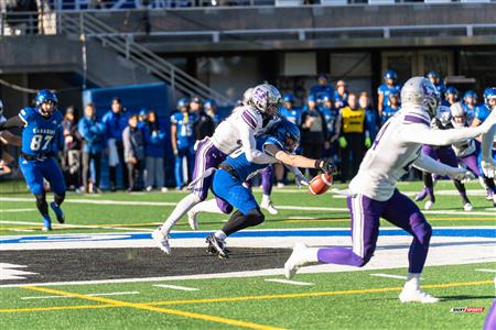 U SPORTS Uteck Bowl - Carabins (29) vs (3) Mustangs - Reel Game