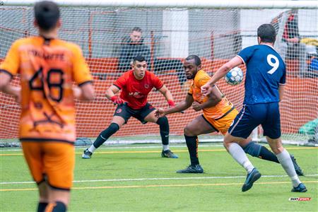 TKL 2023 DIV1 - Arsenal de Montreal (8) vs (3) Bandjos Div1