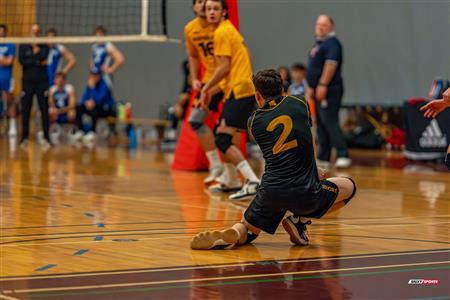 Volleyball - Carabins vs Warriors - Hors Championnat 