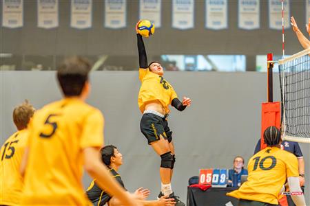 Volleyball - Carabins vs Warriors - Hors Championnat 
