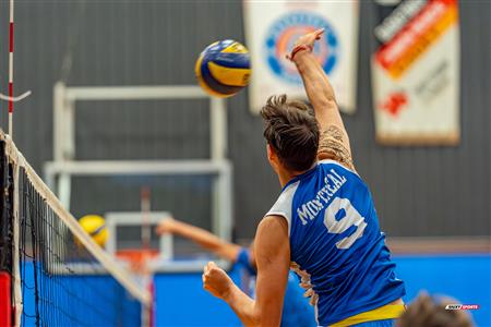 Volleyball - Carabins vs Warriors - Hors Championnat 