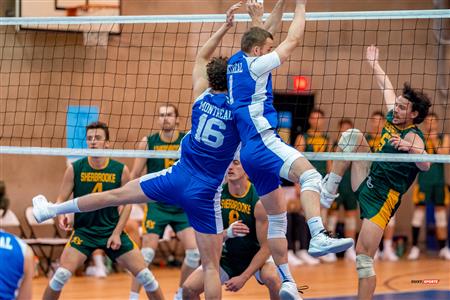 Maxime St-Denis - Volleyball - RSEQ - 2023 Volley M - Université de Montréal (1) vs (3) Université de Sherbrooke - Université de Montréal - Université de Sherbrooke